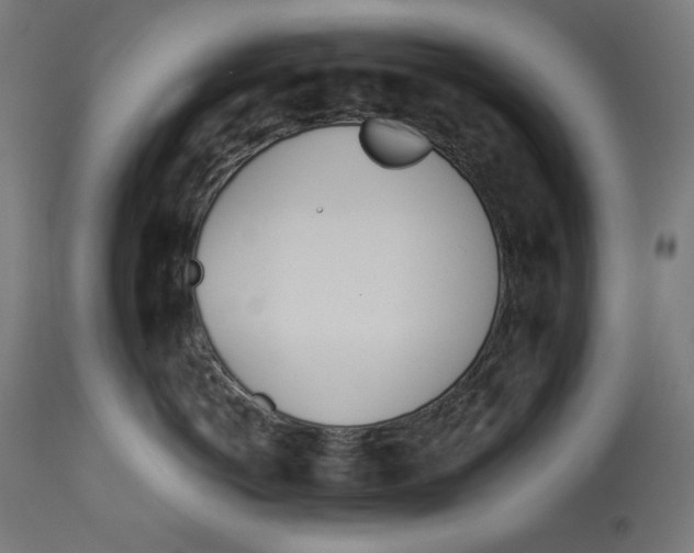 X0000112740766200909171201