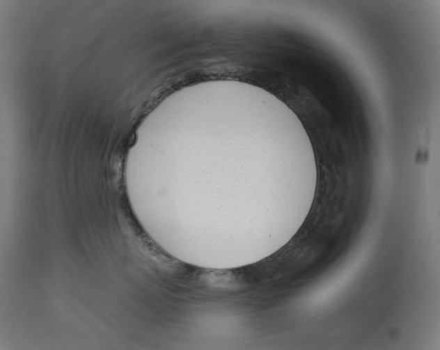 X0000112740767200909171201