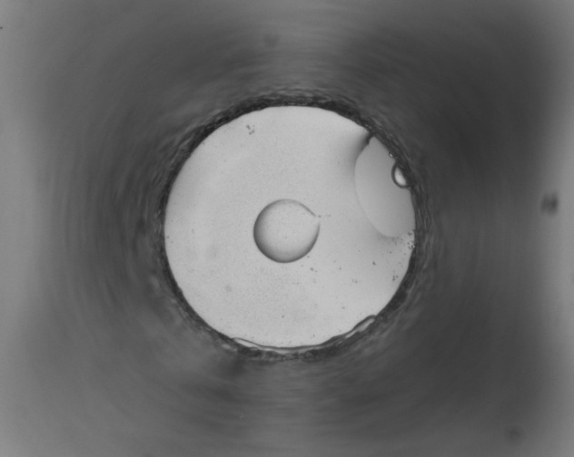 X0000112740769200909171200