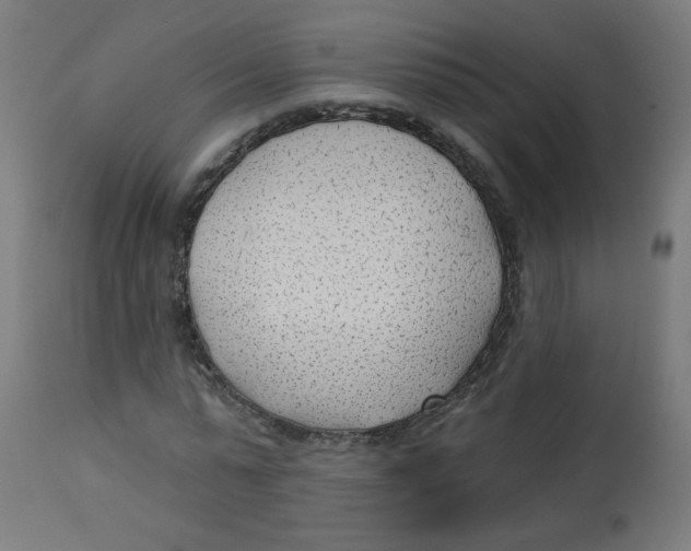 X0000112740775200909171200