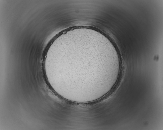 X0000112740779200909171200