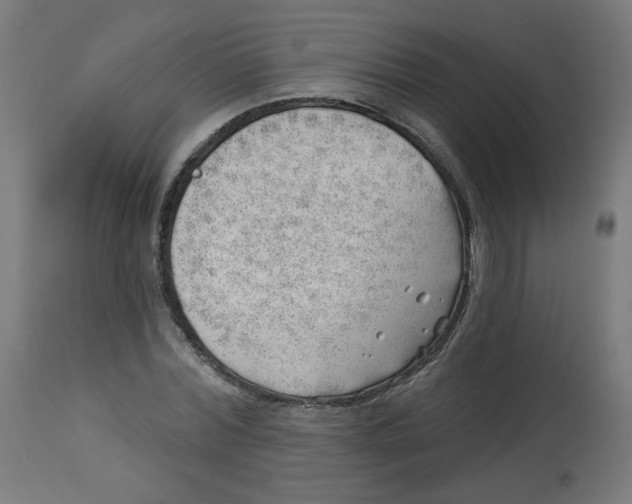 X0000112740780200909171200