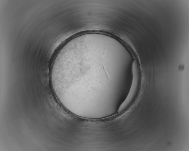 X0000112740781200909171200