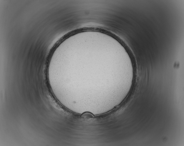 X0000112740783200909171200