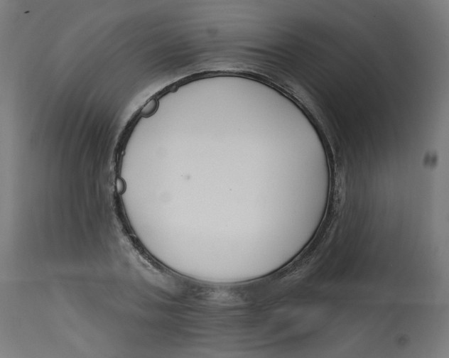 X0000112740787200909171200