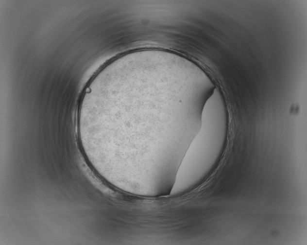 X0000112740796200909171200