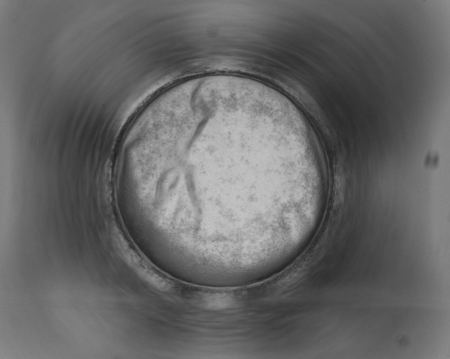 X0000112740798200909171200