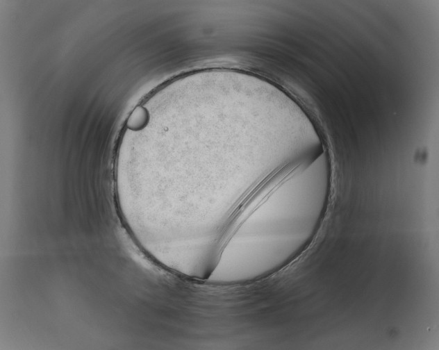 X0000112740800200909171200