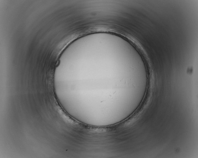 X0000112740801200909171200