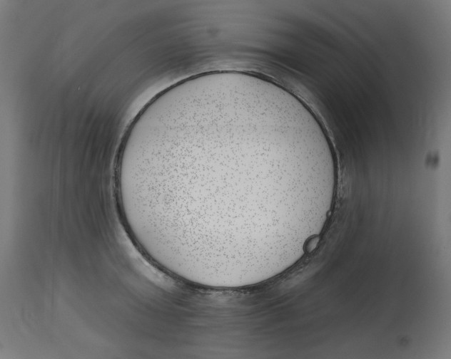 X0000112740803200909171200