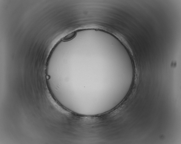 X0000112740805200909171200