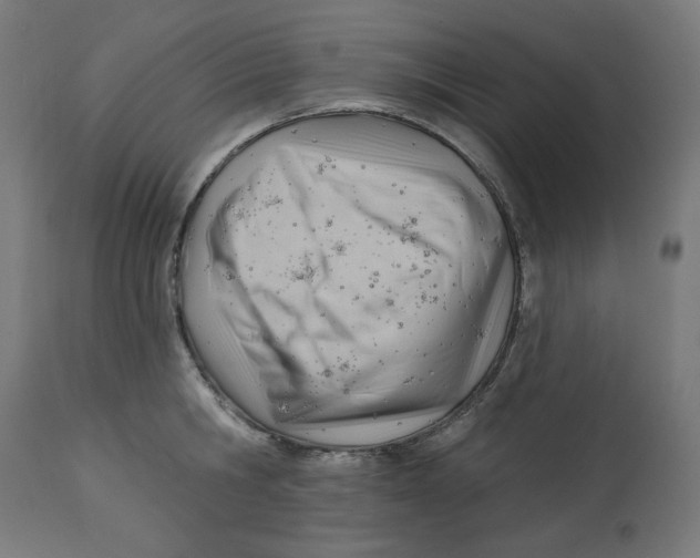 X0000112740806200909171200