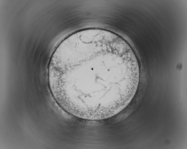 X0000112740807200909171200