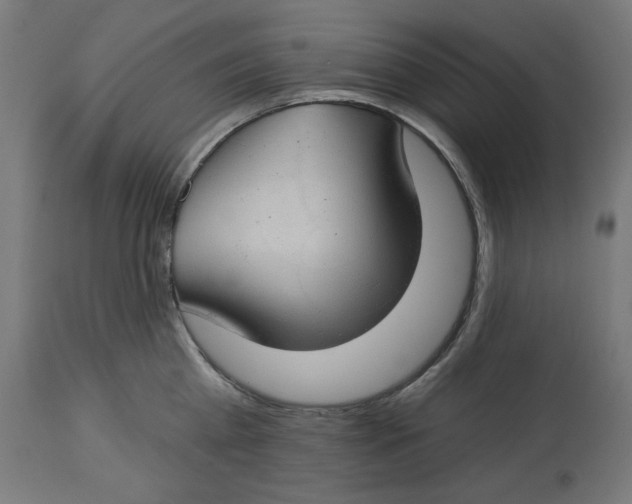 X0000112740809200909171200