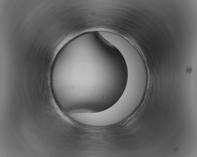 X0000112740813200909171200