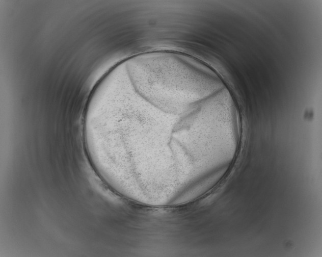 X0000112740814200909171200