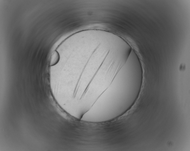 X0000112740816200909171200