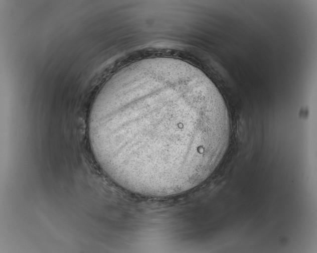 X0000112740821200909171159