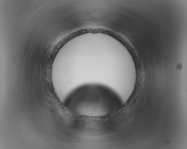 X0000112740823200909171159