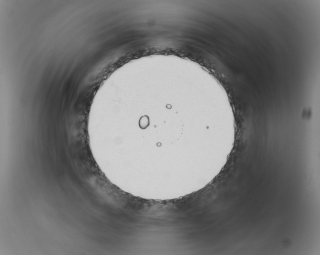 X0000112740824200909171159