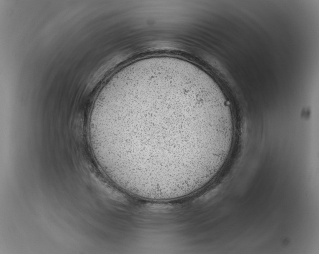 X0000112740825200909171159