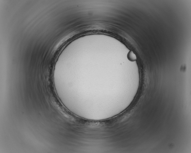 X0000112740826200909171159