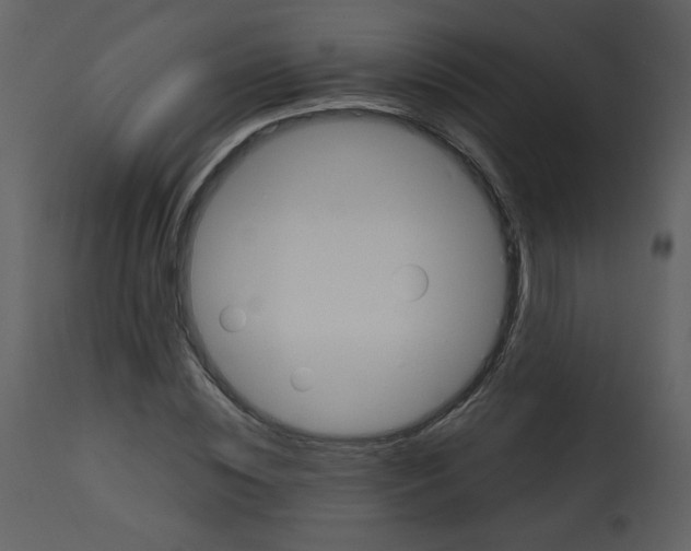 X0000112740828200909171159