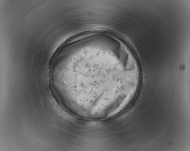 X0000112740835200909171159