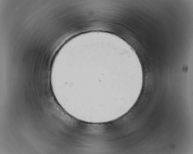 X0000112740836200909171159