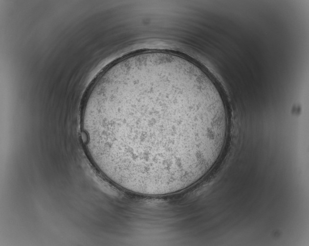 X0000112740837200909171159