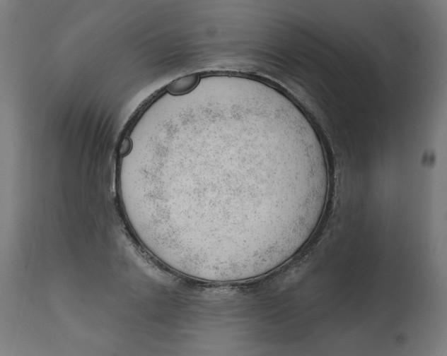 X0000112740838200909171159