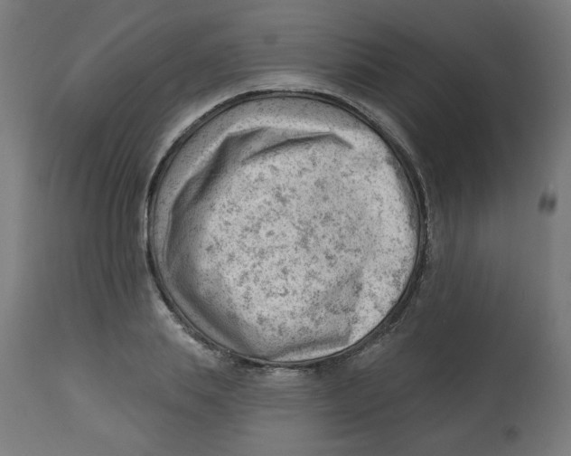 X0000112740839200909171159