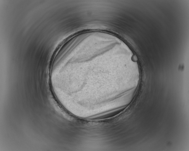 X0000112740840200909171159