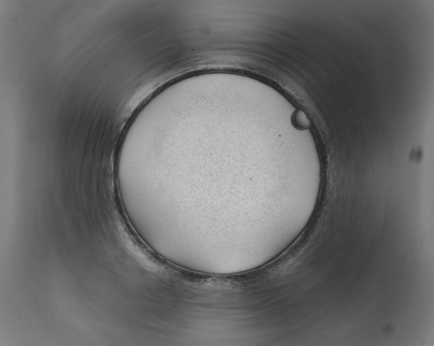 X0000112740842200909171159