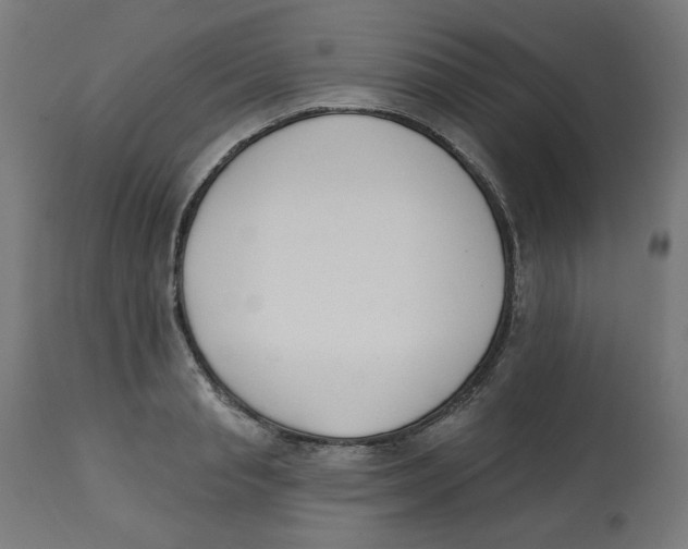 X0000112740845200909171159