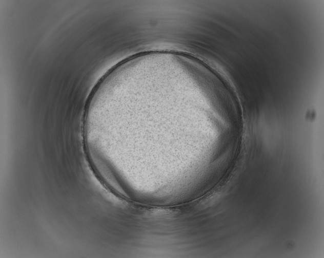 X0000112740847200909171159