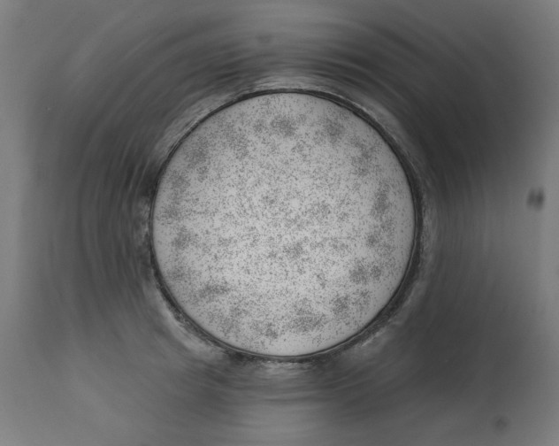 X0000112740849200909171159