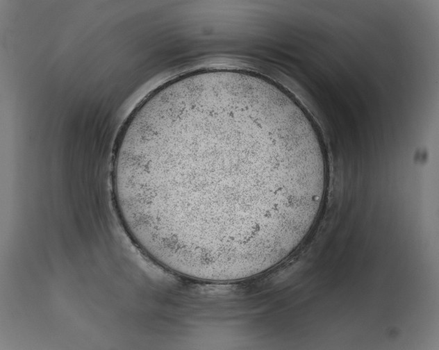 X0000112740853200909171159