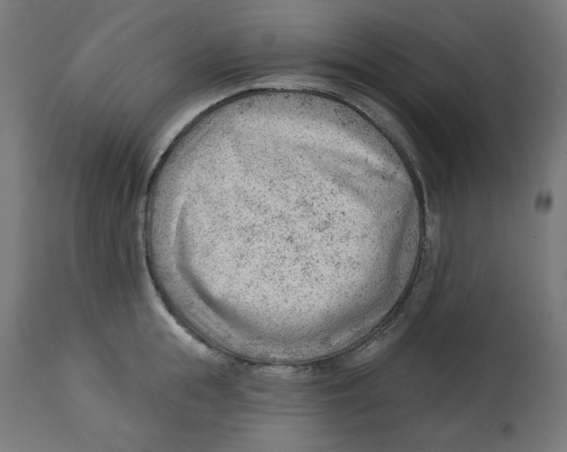 X0000112740855200909171159