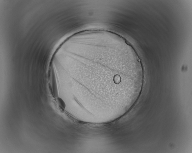 X0000112740864200909171200