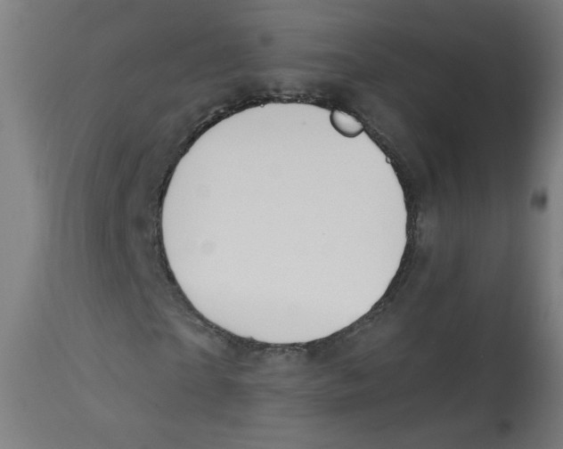 X0000112740865200909171159