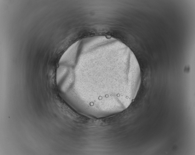 X0000112740866200909171159