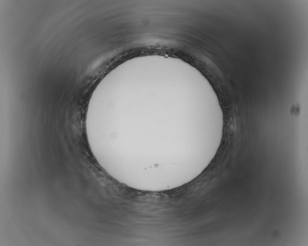 X0000112740869200909171159