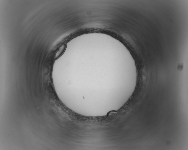 X0000112740872200909171159