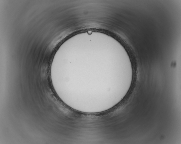 X0000112740873200909171159