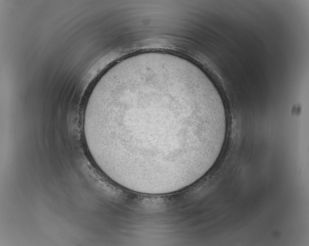 X0000112740882200909171158