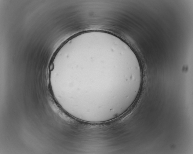 X0000112740892200909171158