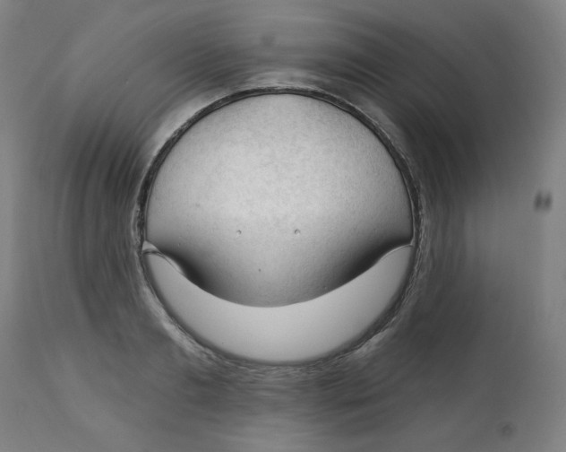 X0000112740893200909171158