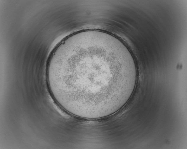 X0000112740894200909171158