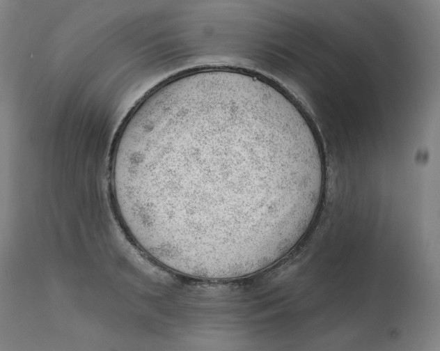 X0000112740895200909171158